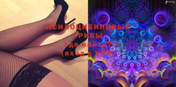 молекула духа Гусев