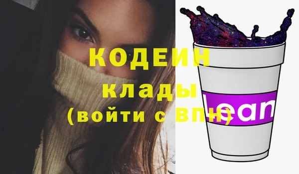 молекула духа Гусев