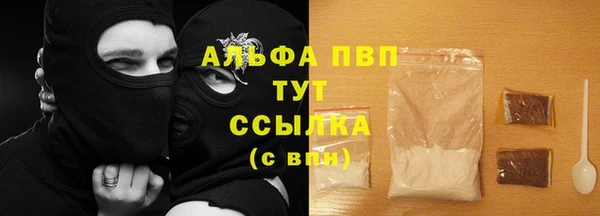 молекула духа Гусев