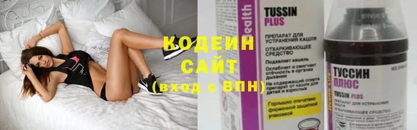 молекула духа Гусев
