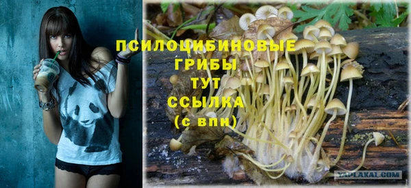 молекула духа Гусев