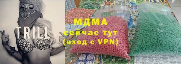 гидра Горняк