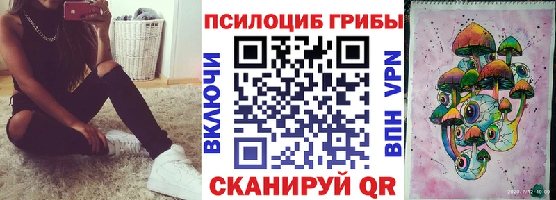 Купить закладки Асино Псилоцибиновые грибы мицелий
